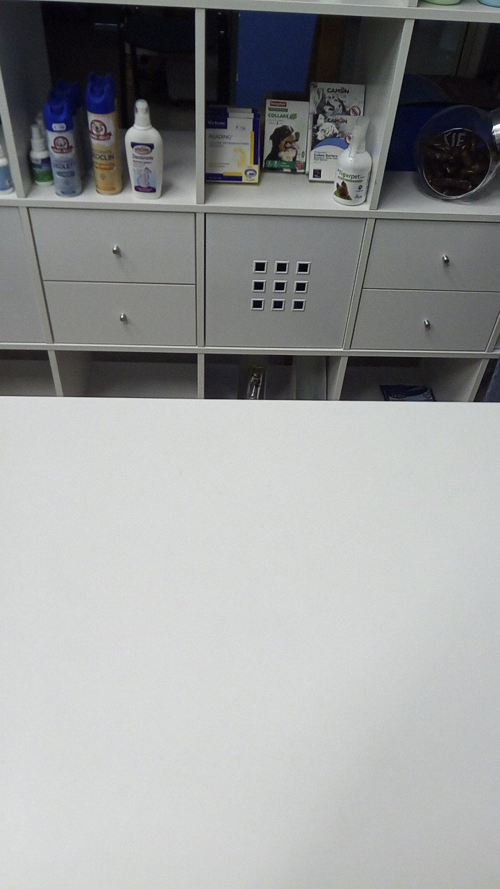 Qua La Zampa - Foto 4