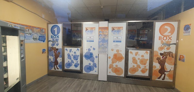 Qua La Zampa - Foto 6