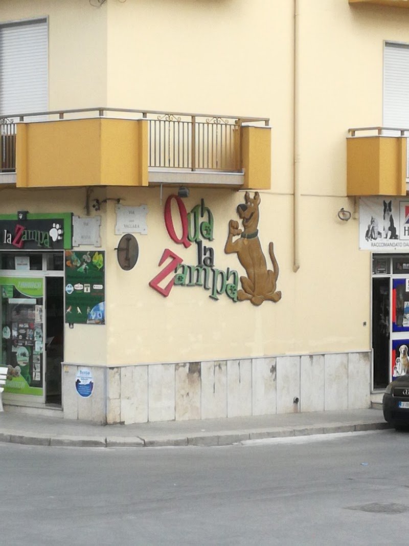 Qua la Zampa - Foto 1