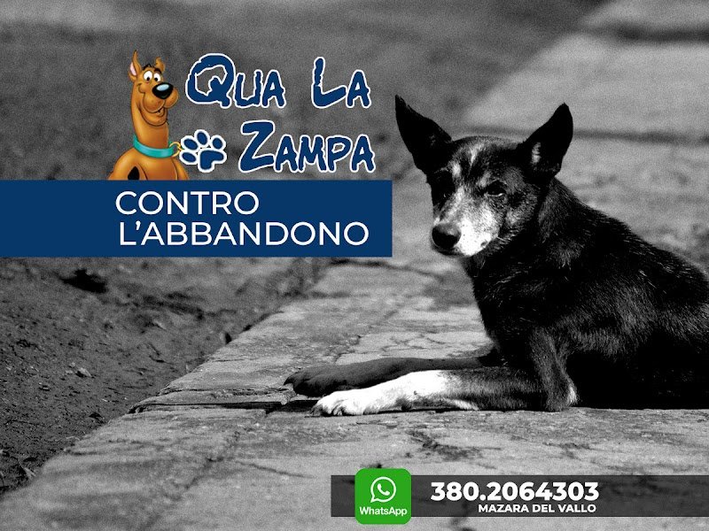 Qua la Zampa - Foto 4