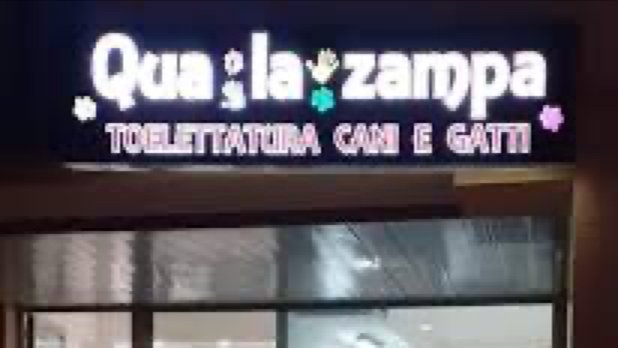 Qua la zampa Potenza - Foto 1