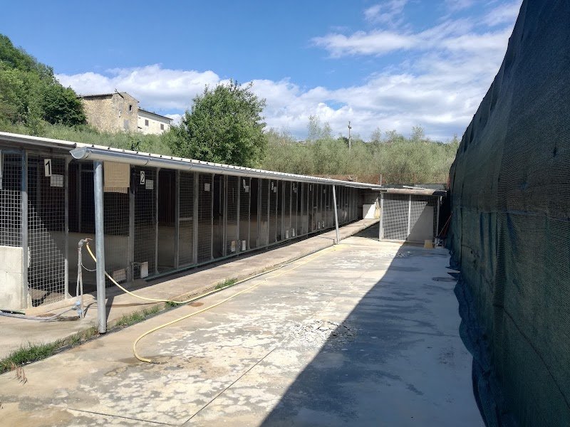 Qua La Zampa - Foto 1