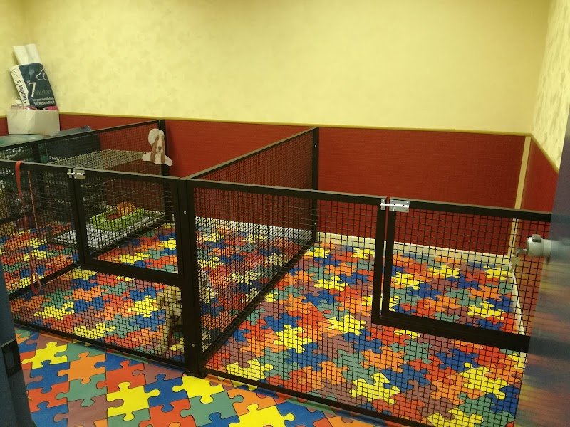 Qua La Zampa - Foto 4