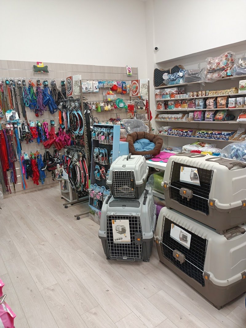 QUA LA ZAMPA SRL - Foto 1