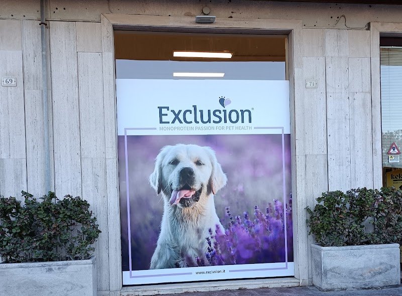 QUA LA ZAMPA SRL - Foto 3