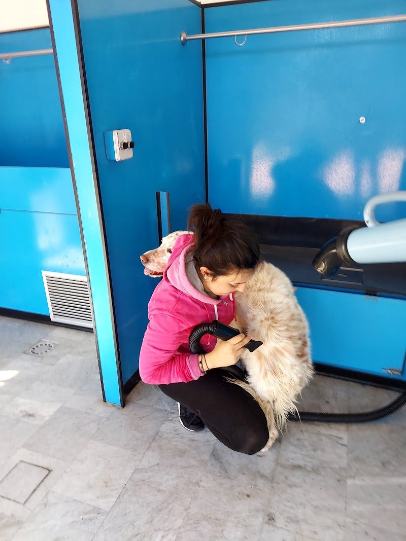 Qua la Zampa - Foto 3