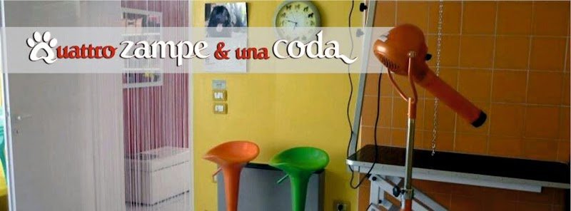 Quattro Zampe E Una Coda Di Patrizia Gennaro - Foto 1