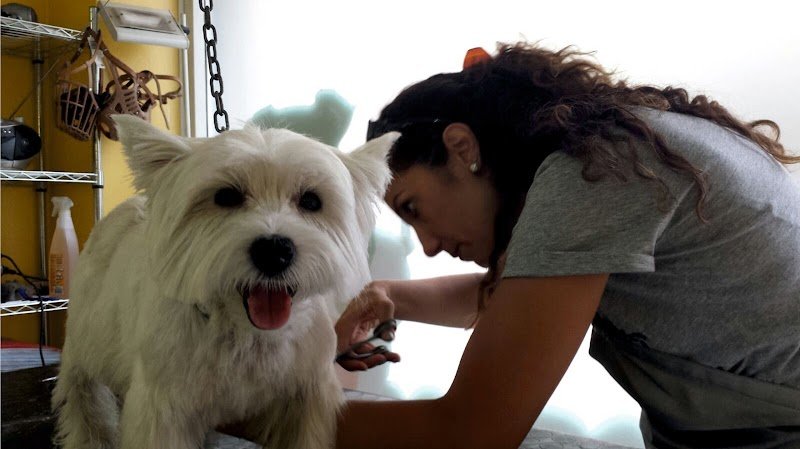 Quattro Zampe E Una Coda Di Patrizia Gennaro - Foto 4