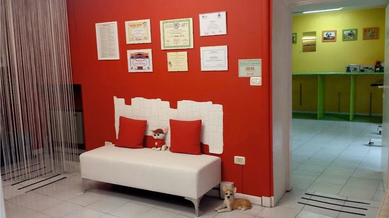 Quattro Zampe E Una Coda Di Patrizia Gennaro - Foto 6