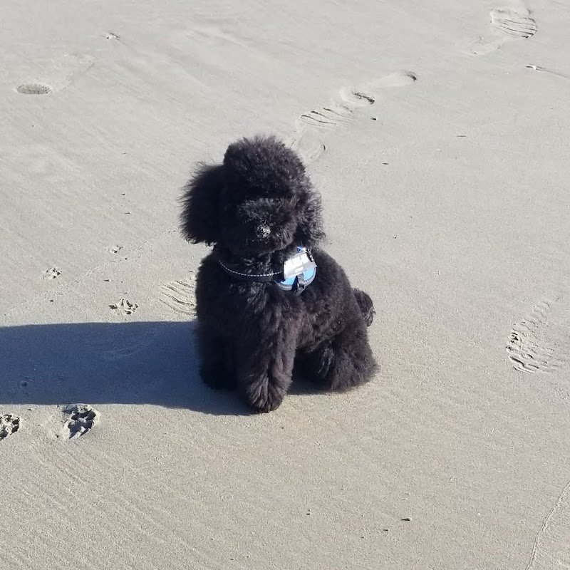 Quattrocalzini - Foto 1