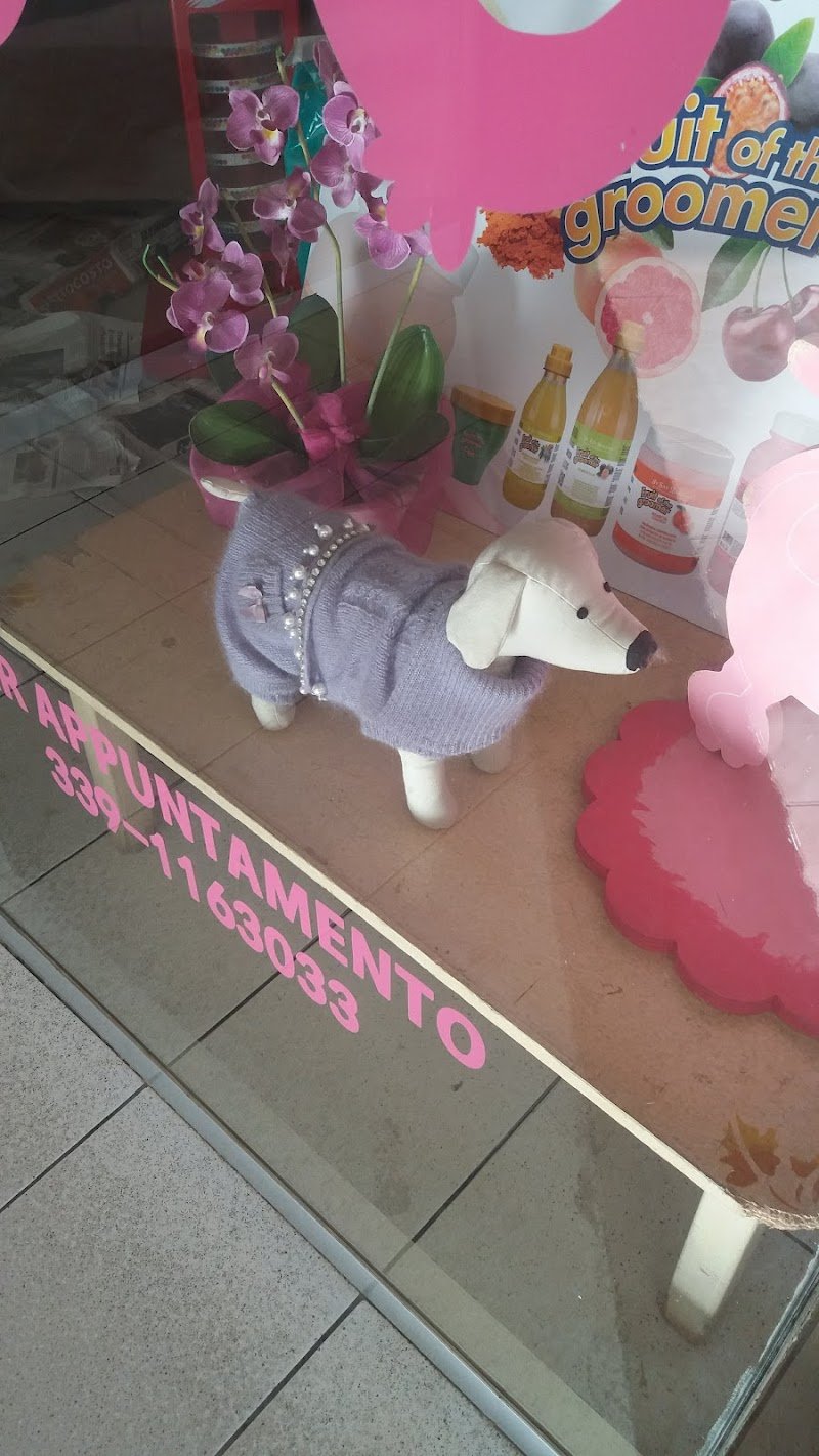 Quattrocalzini - Foto 4