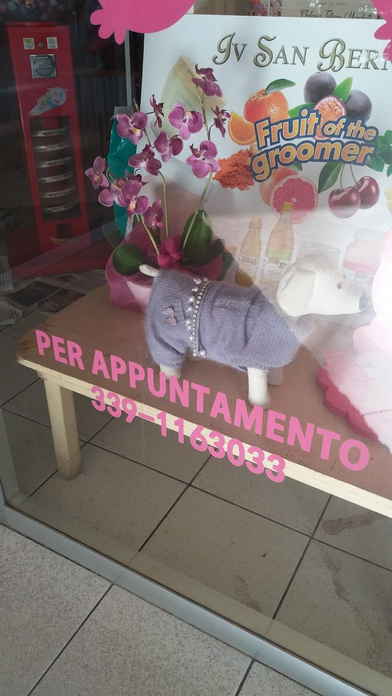 Quattrocalzini - Foto 5