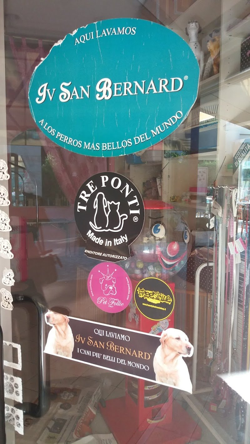 Quattrocalzini - Foto 6