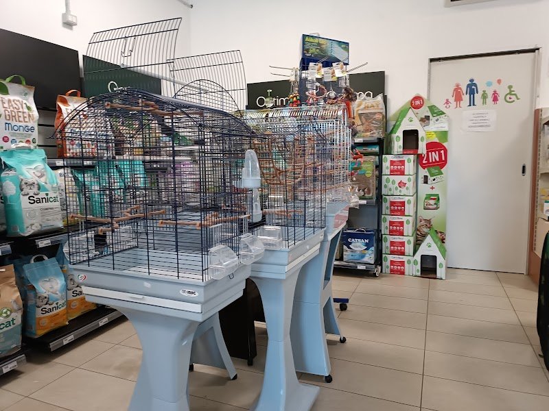 Quattrozampe Articoli e Prodotti per Animali - Foto 5