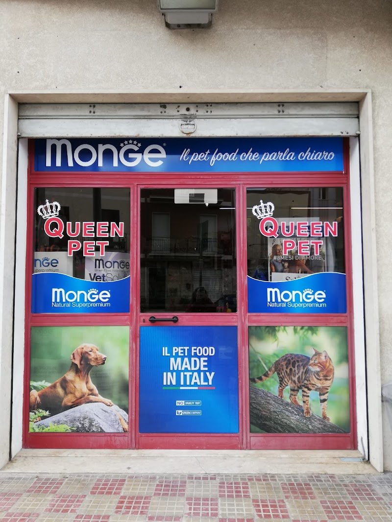 Queen Pet paceco - Foto 1