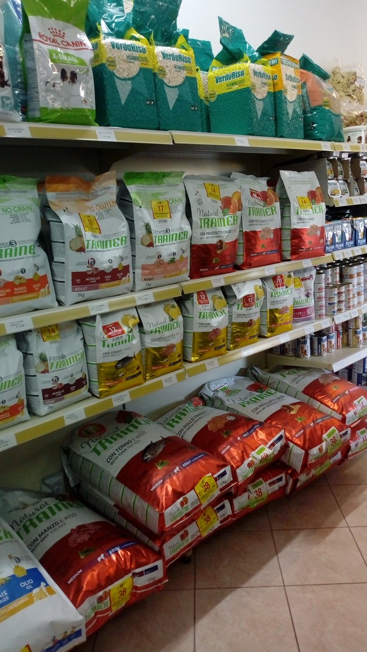 Queen Pet paceco - Foto 3