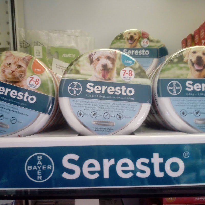 Queen Pet paceco - Foto 4