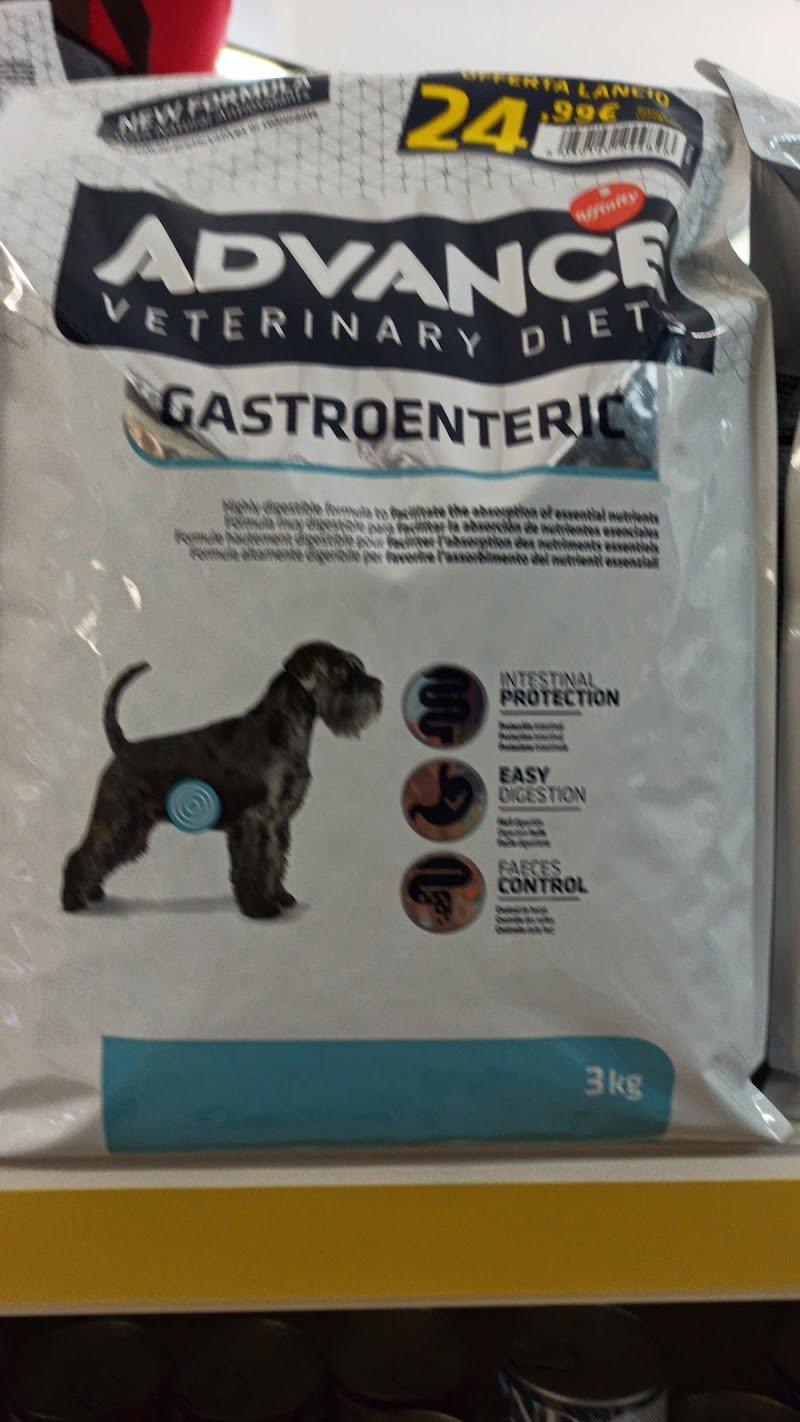 Queen Pet paceco - Foto 5