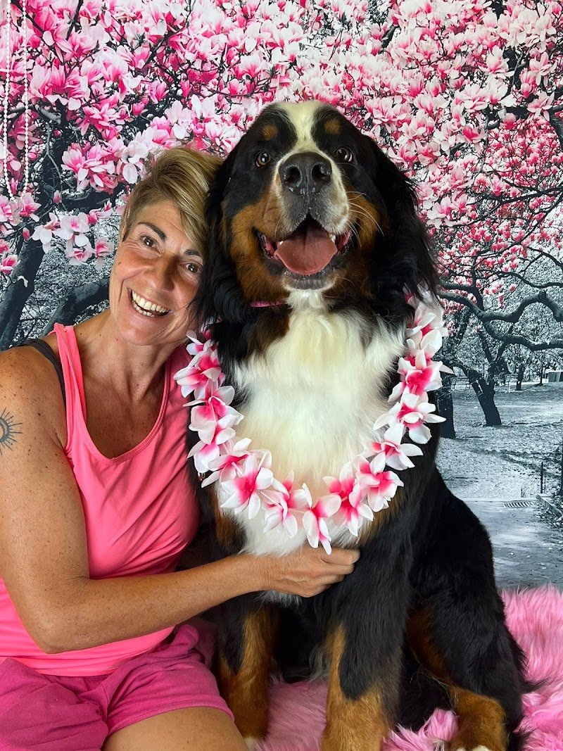 QueridaShop Toelettatura di Silvia Demo - Foto 1