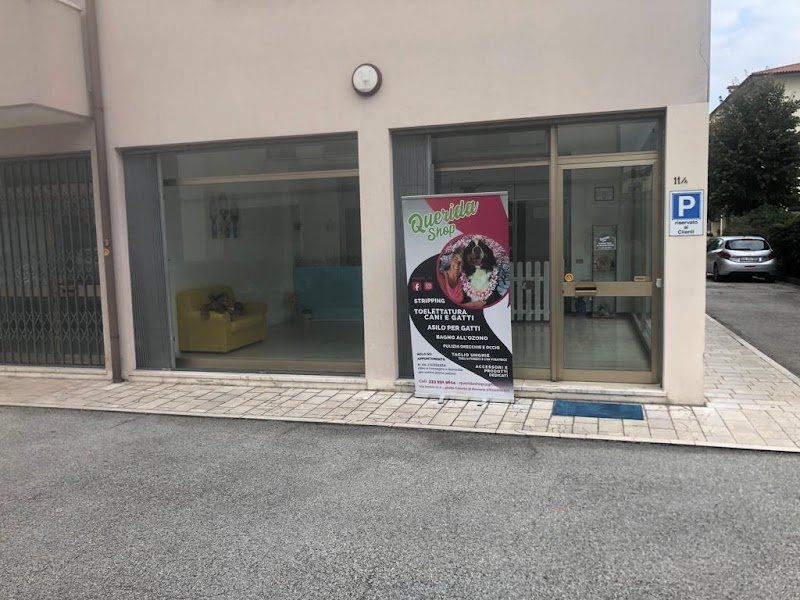 QueridaShop Toelettatura di Silvia Demo - Foto 2