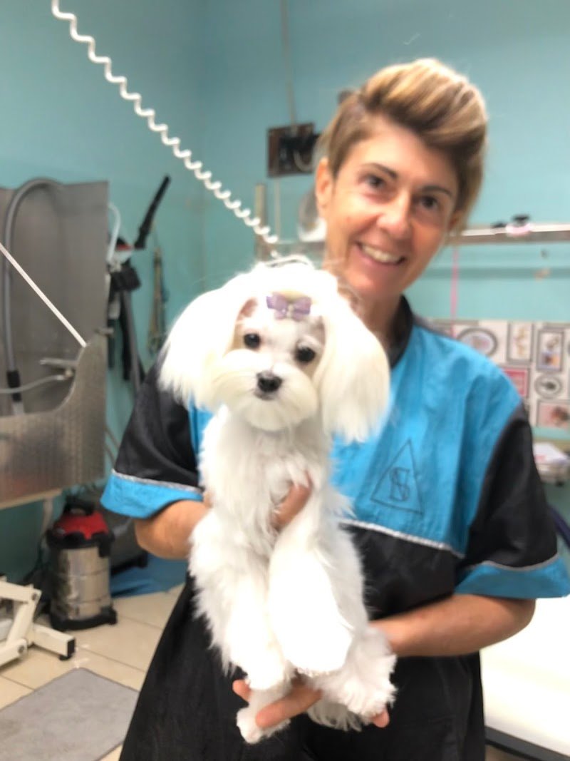 QueridaShop Toelettatura di Silvia Demo - Foto 5