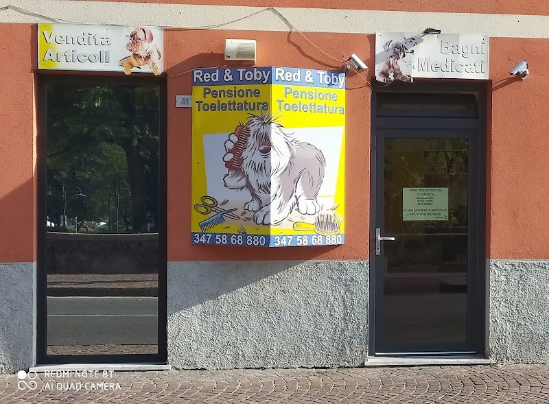 Red E Toby Di Balestracci Elisa - Foto 1