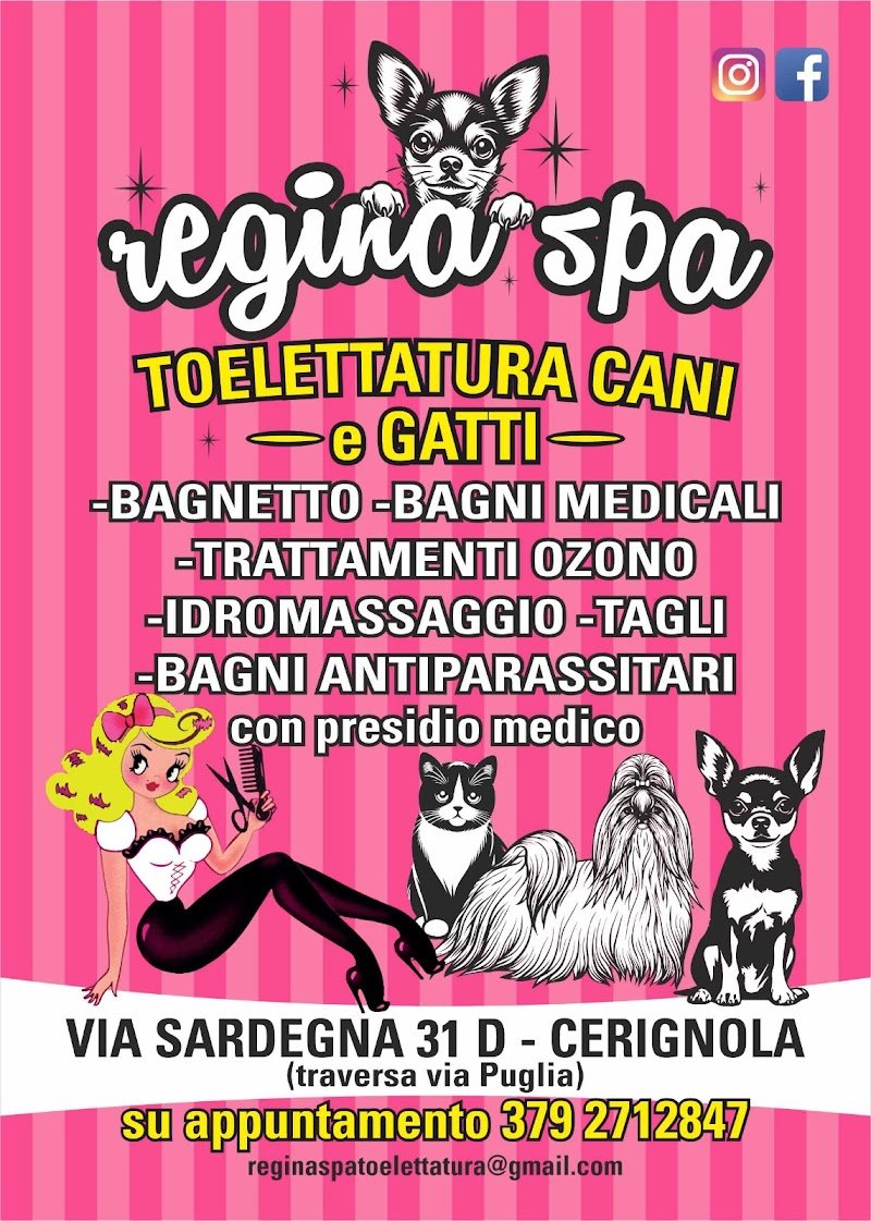 Regina Spa Toelettatura - Foto 1