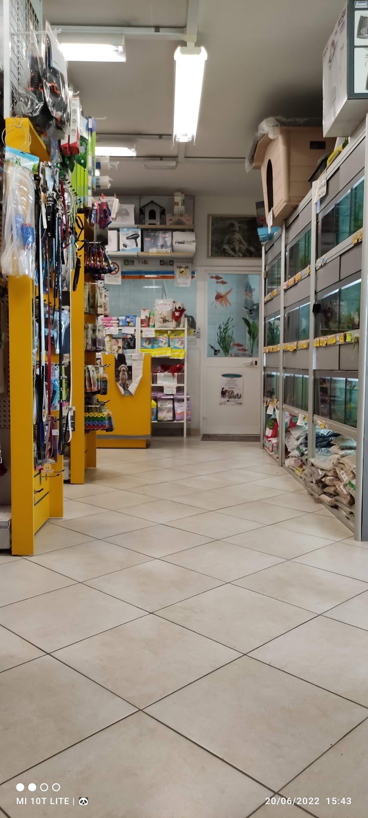 Regno Animale - Foto 2