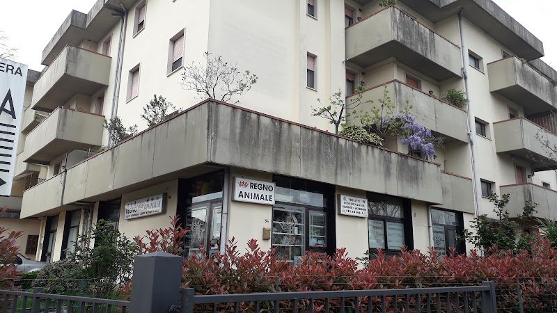 Regno Animale - Foto 3