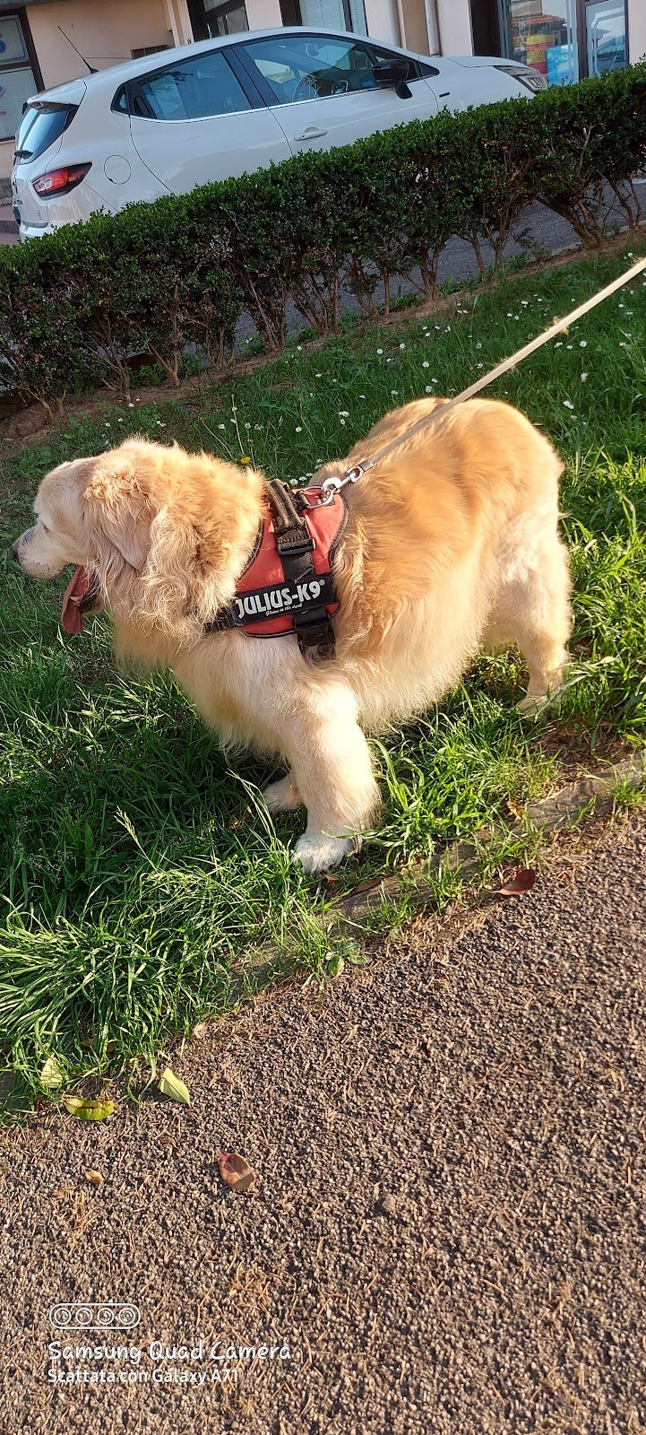 Regno Animale - Foto 5