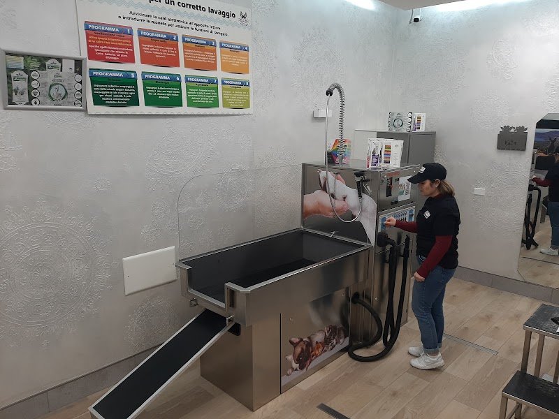 Rex Wash Self Service Per Animali - Foto 2