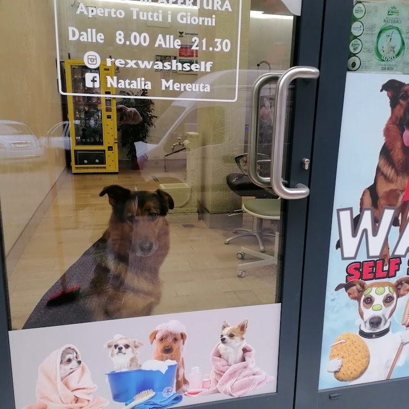 Rex Wash Self Service Per Animali - Foto 3