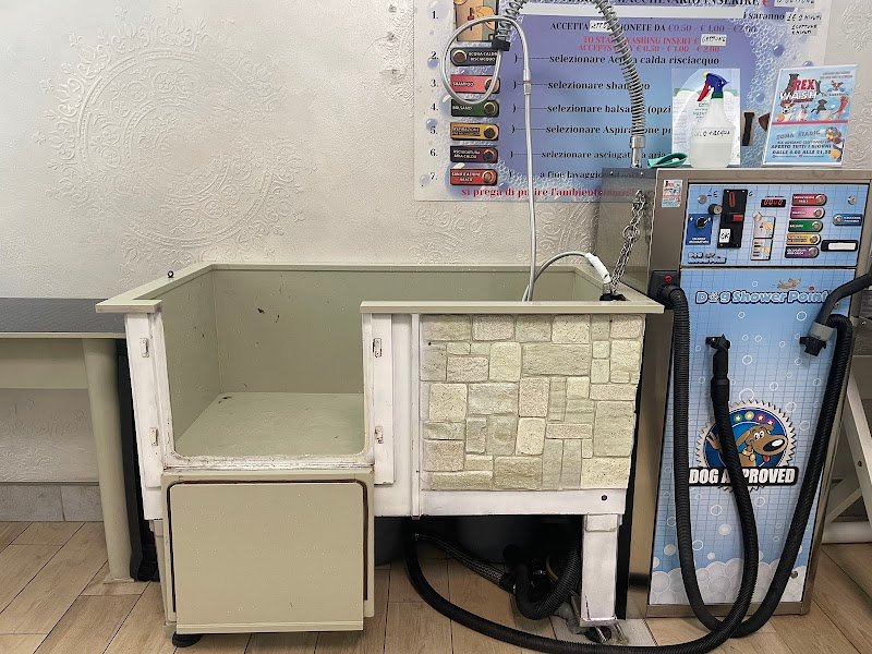 Rex Wash Self Service Per Animali - Foto 6