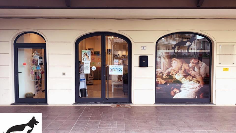 Ricci toilette - Foto 1