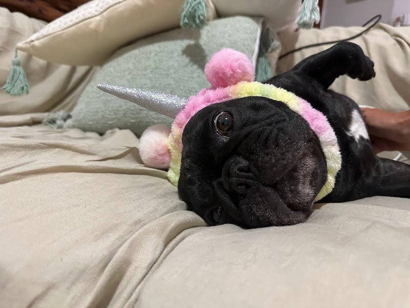 Ricci toilette - Foto 2