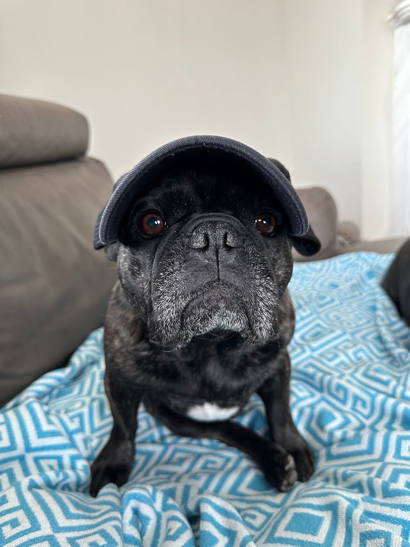 Ricci toilette - Foto 3