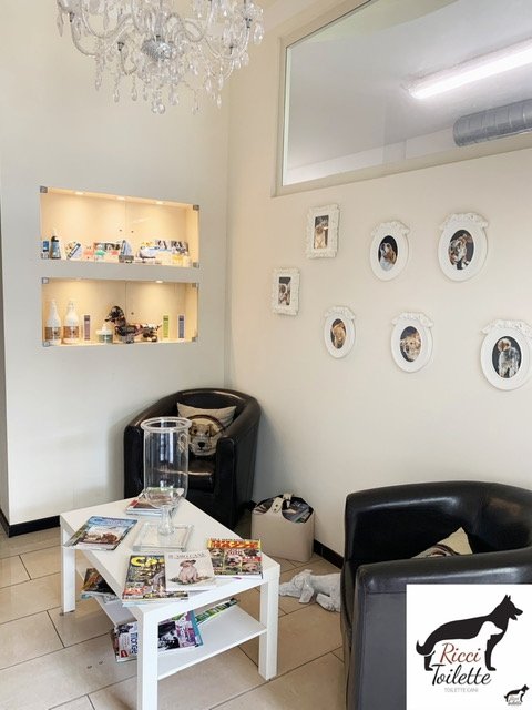 Ricci toilette - Foto 4