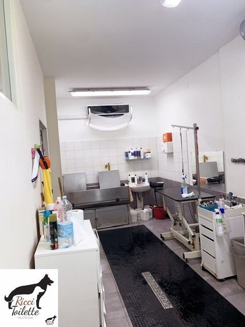 Ricci toilette - Foto 5