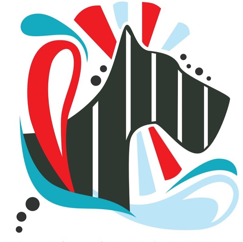 Riscodinzolo Toelettatura - Foto 4