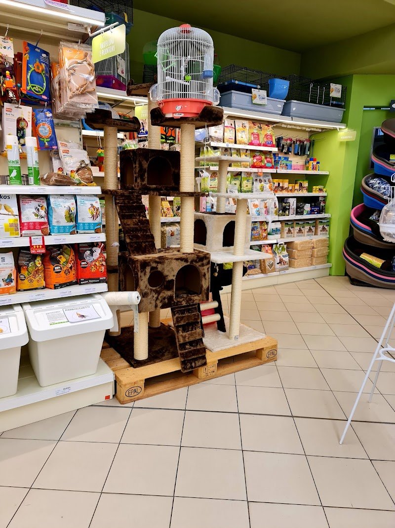 Robinson Pet Shop - Ravenna - Foto 3