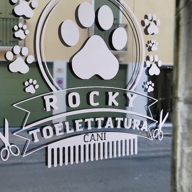 Rocky toelettatura - Foto 1