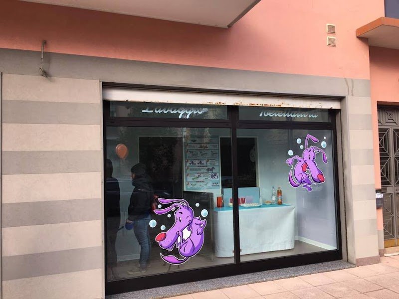 Rolling Dogs Lavaggio Self-Service e Toelettatura Padova - Foto 6