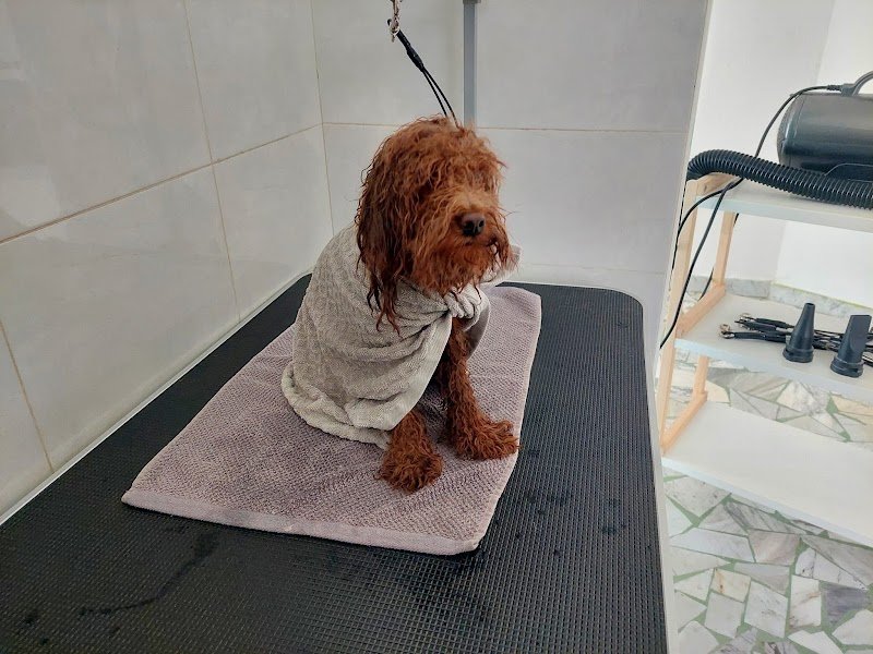 Ryry il treno della felicità - Foto 2