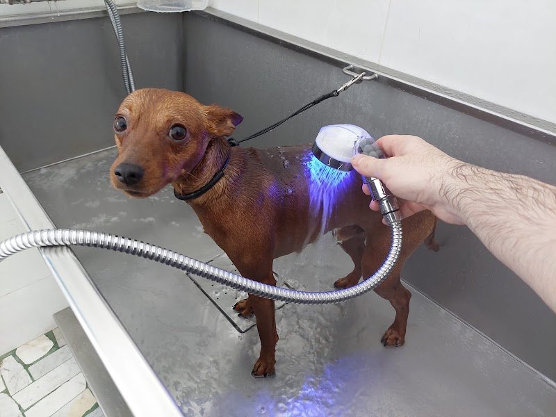 Ryry il treno della felicità - Foto 4