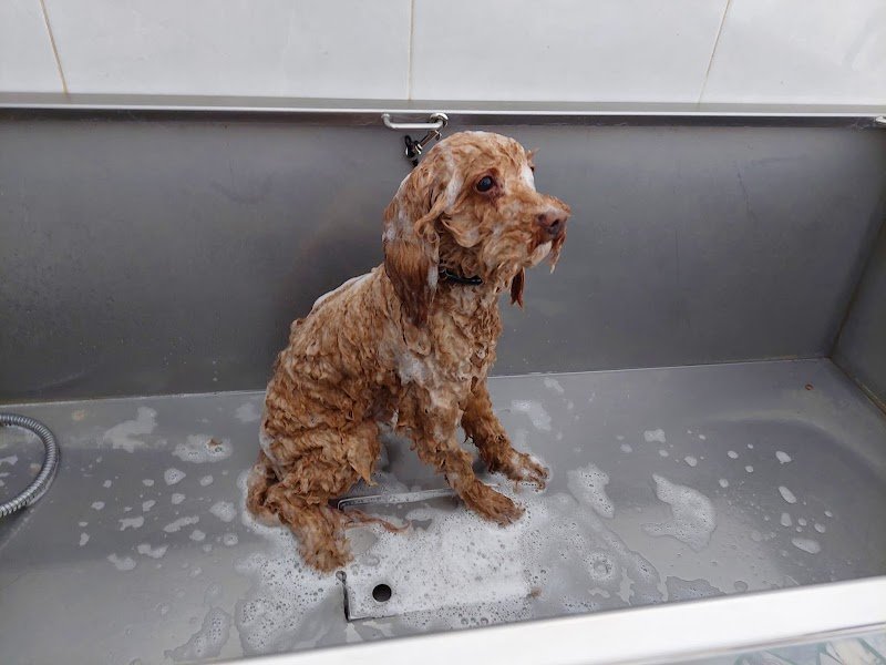 Ryry il treno della felicità - Foto 5