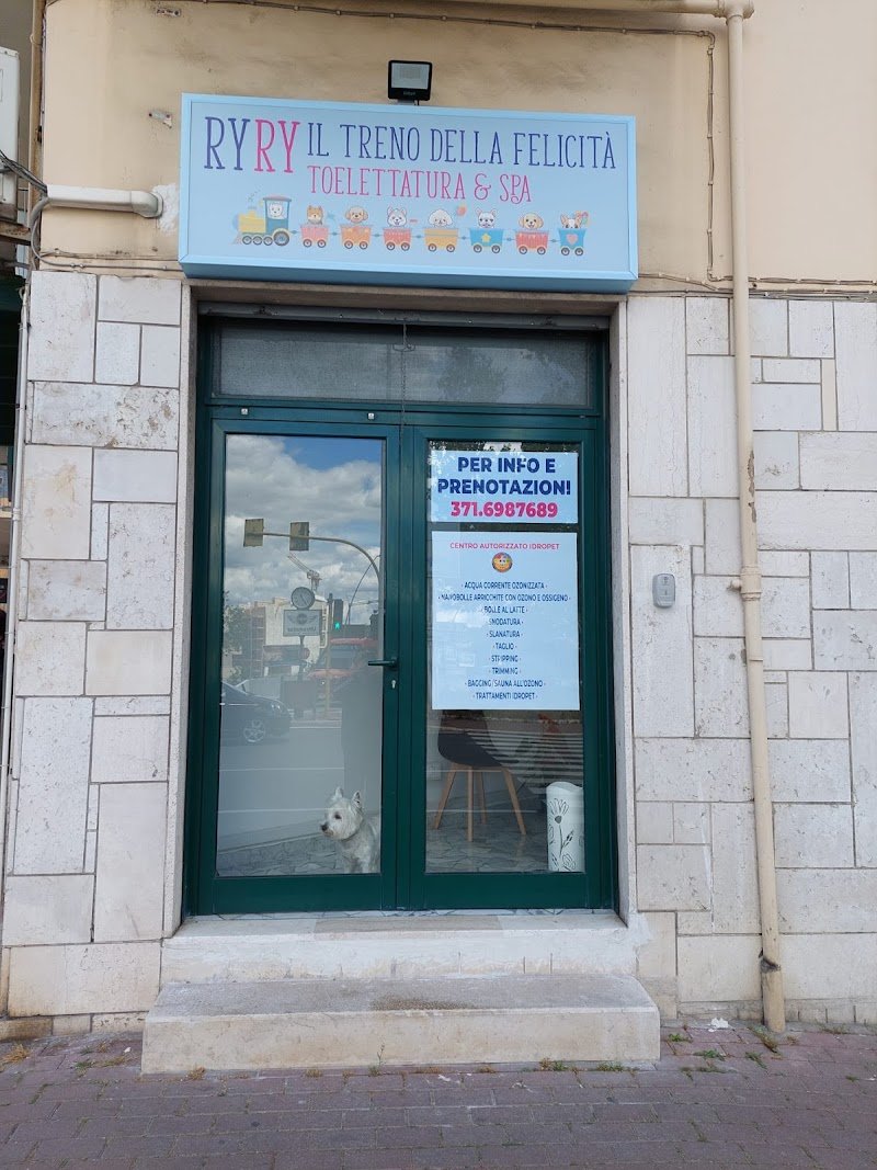 Ryry il treno della felicità - Foto 1