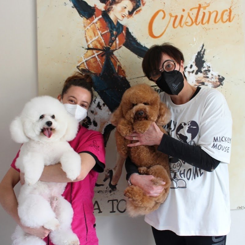 Sala Toelettatura Cristina Di Boni Cristina - Foto 4