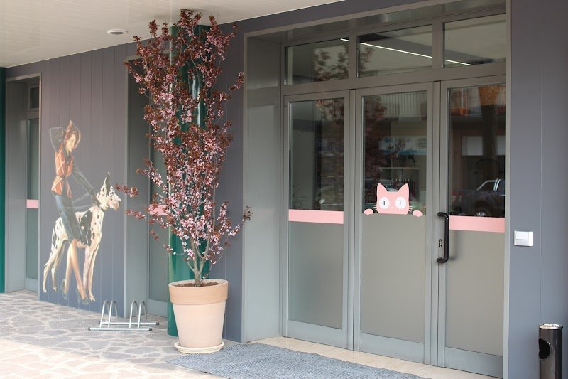 Sala Toelettatura Cristina Di Boni Cristina - Foto 6