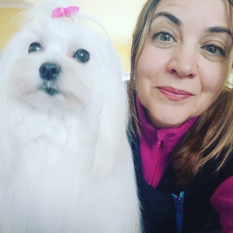 Salento Groomers - Valentina Palumbo - Foto 1