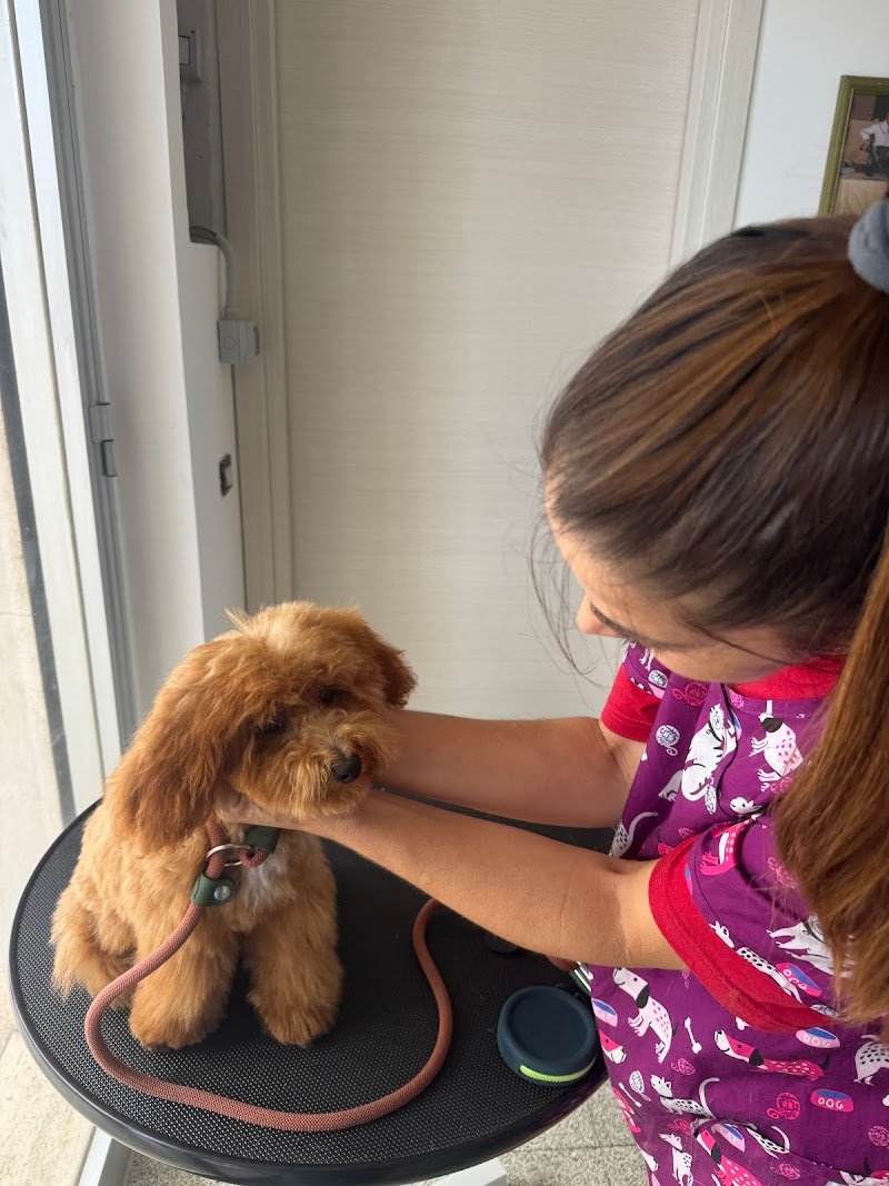 Salento Groomers - Valentina Palumbo - Foto 2